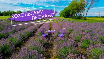 Прогулка в лавандовом поле