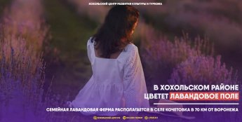 В Хохольском районе цветет лавандовое поле